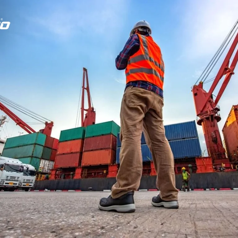 How to Leverage Shipping and Re-Export Services from Dubai's Free Zones